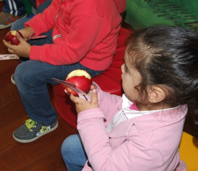 Município de Oliveira do Hospital oferece fruta aos alunos