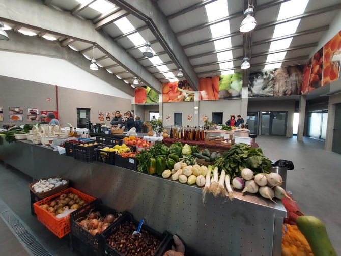 Mercado Municipal com iniciativas gastronómicas e culturais durante quadra festiva