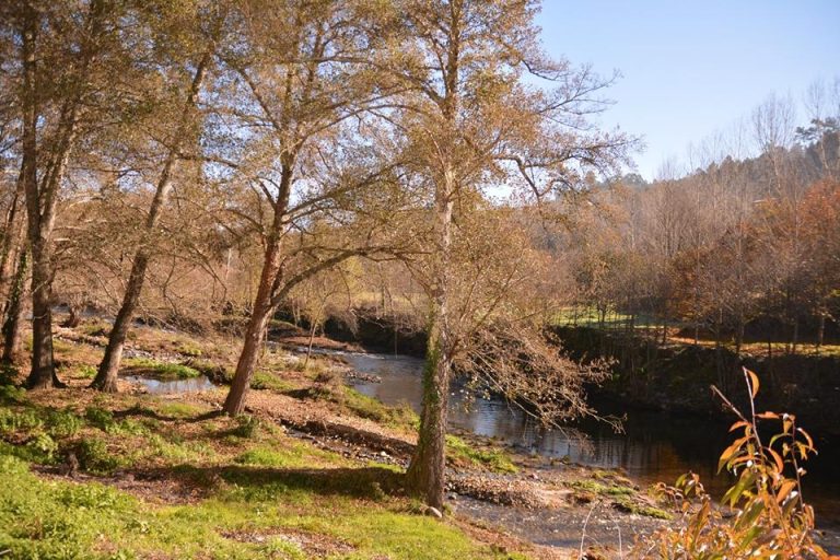 4feb08b32fc2bca59f9db42b69cd4022