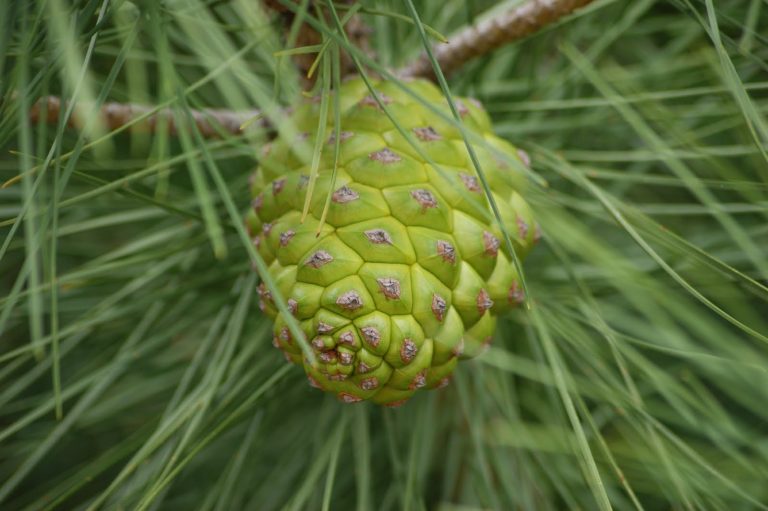 2cf3de1421350014af841348e8a1b0fb