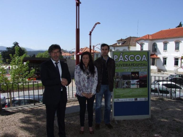 ad50363b9b3c0e7cd5049a5778e00aff