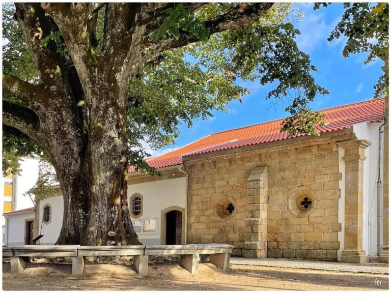 78af361ee5d7b649a2f01f7be86a5951