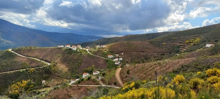 2f74131fa7c32036662a4fc3e0c8a9de