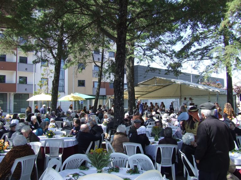 b72f05a13b1ac0c5450ca1eea8a84bd8