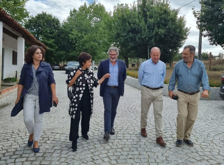 95af20a543d0ffa5a101ab798fe1da12_XL