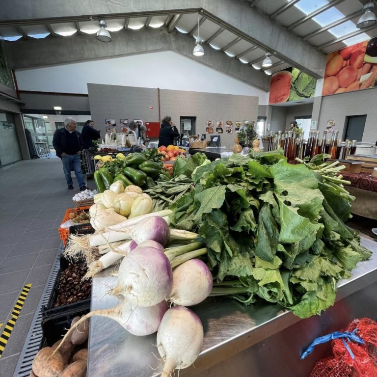 Mostra “Da Nossa Terra” realiza-se sábado no Mercado Municipal de Oliveira do Hospital