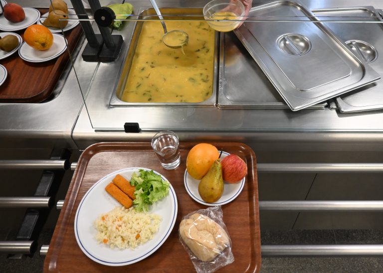 Refeições Escolares