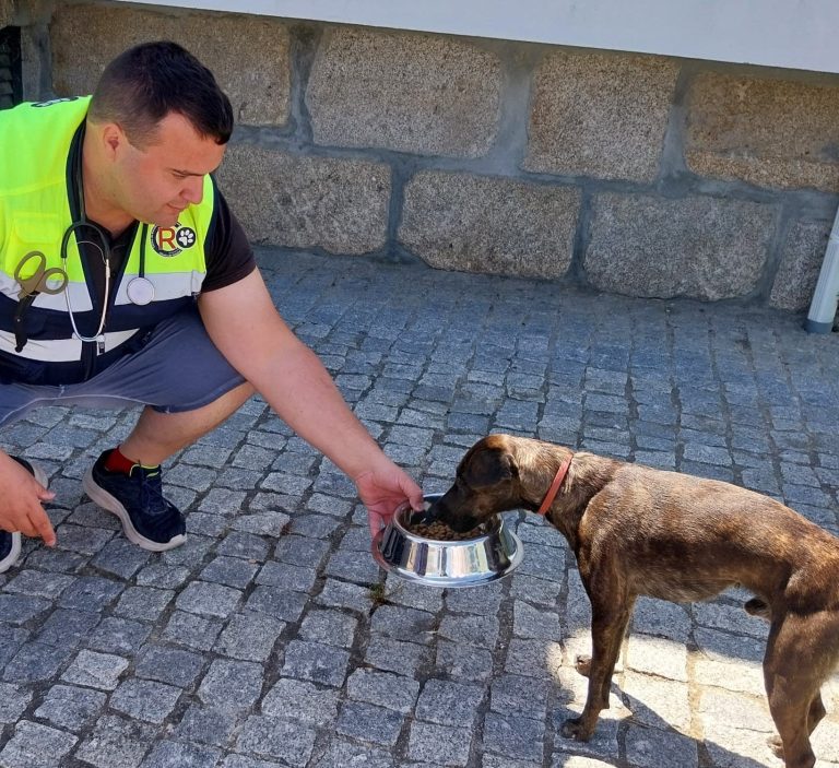 Serviços Veterinários / CROA do Município de Oliveira do Hospital