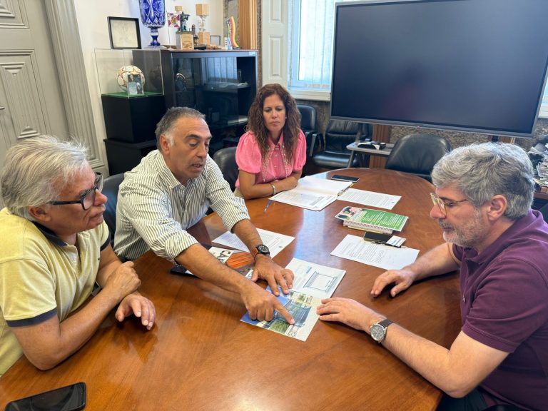 Investimento municipal moderniza paragens de transportes públicos