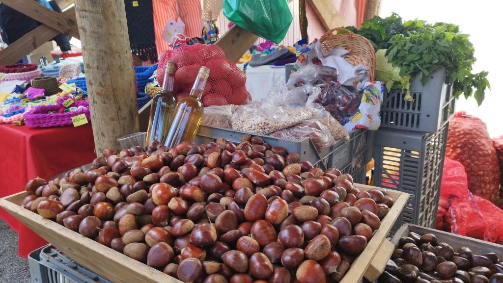 Festa da Castanha celebra tradições e sabores em Aldeia das Dez