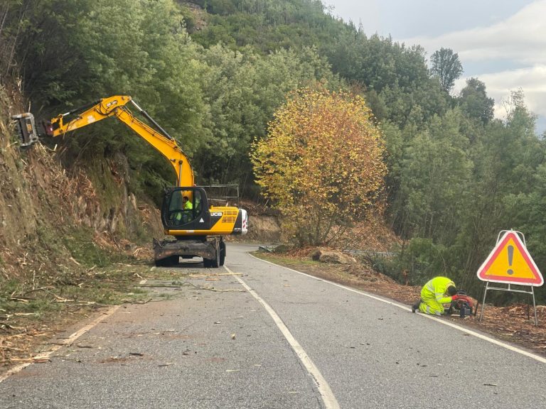 Incêndios 2025 - Estabilização de Emergência pós-incêndio