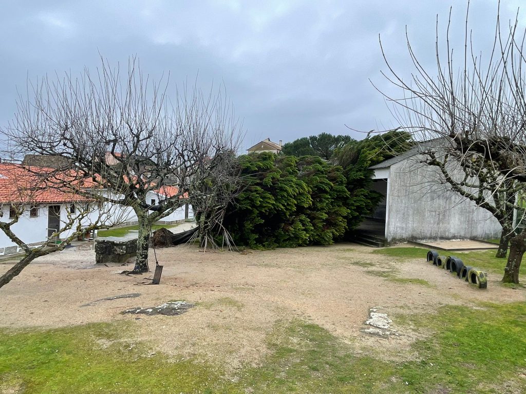 Tempestade Kristin: Câmara Municipal assume recuperação na EB de Travanca de Lagos 