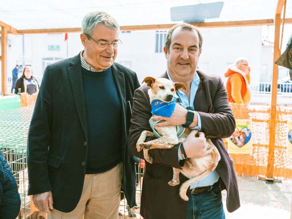 Festa do Queijo Serra da Estrela de Oliveira do Hospital volta a afirmar-se como referência nacional