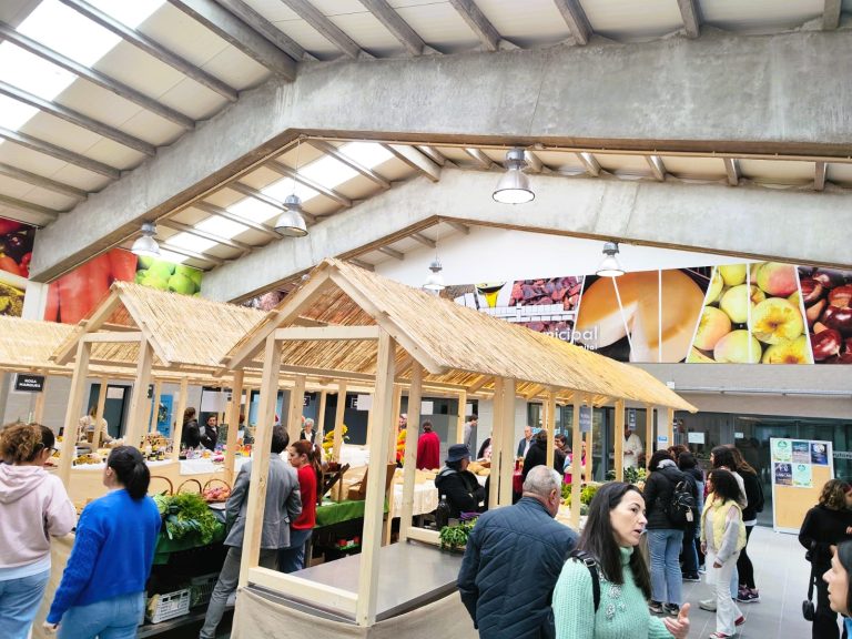 MOH Da Nossa Terra _arquivo 1