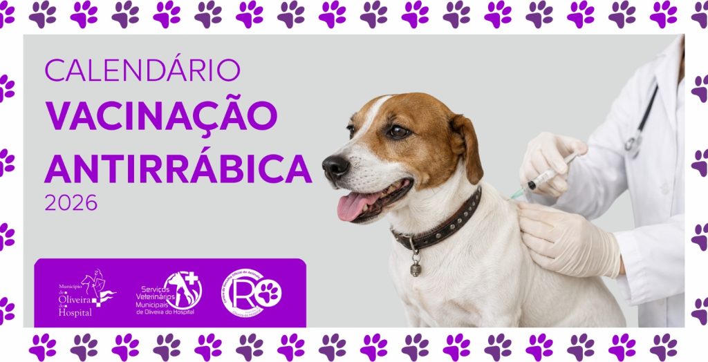 Serviços Veterinários Municipais promovem vacinação e identificação animal