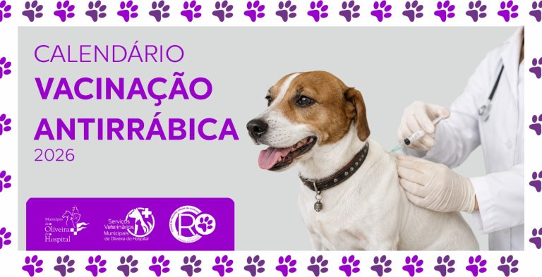 Serviços Veterinários Municipais promovem vacinação e identificação animal